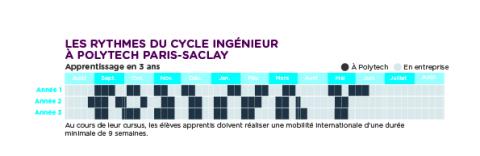 Rythme de l'apprentissage 2025-2026