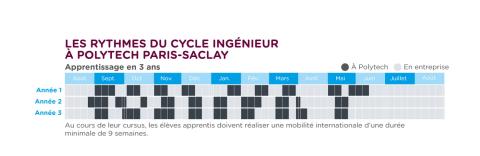 Rythme des etudes apprentissage 2025-2026