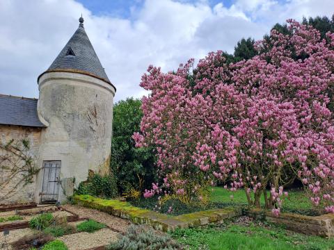 Visite Historique et collections : introduction au Jardin botanique